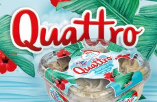Quattro Sladoledi Izdelki Ledo